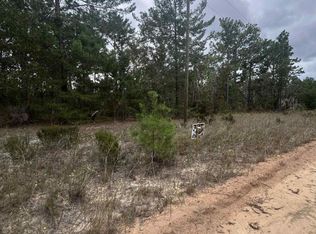 136 MARTIN Street, Interlachen, FL 32148