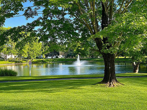 Pond view