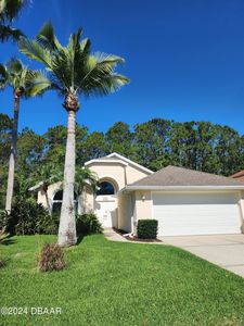 6264 Palm Vista St, Port Orange, FL, 32128
