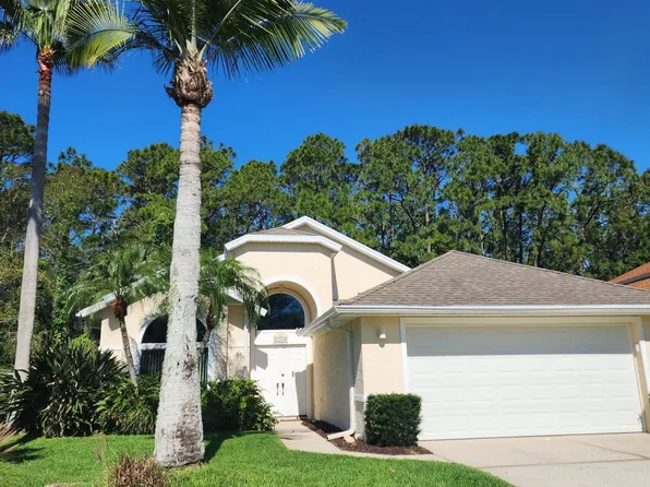 6264 Palm Vista St, Port Orange, FL 32128