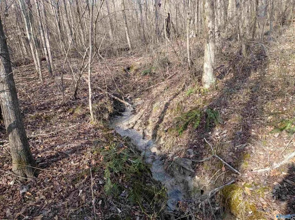 4960 Newburg Rd, Haleyville, AL 35565