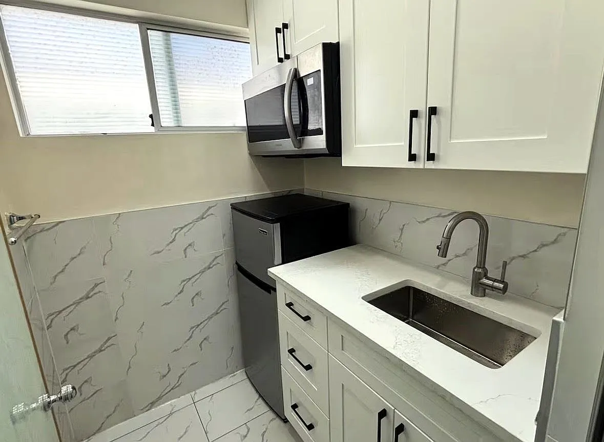 1 bed, 250 sqft, $1,500 — Photo 3