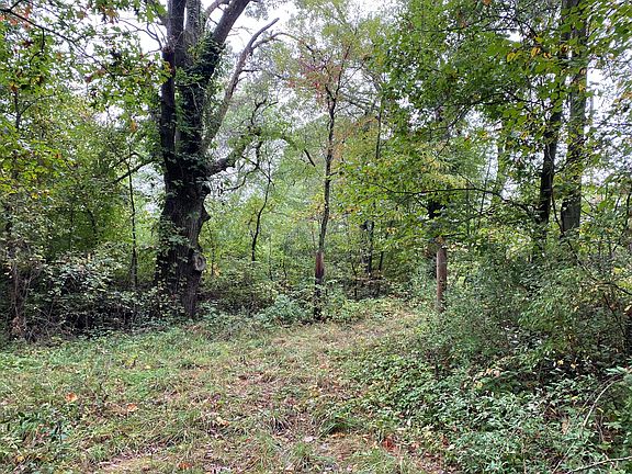 5th image of V/l Big Buck Dr