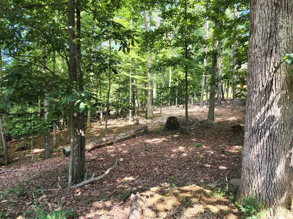 Tbd Hawthorne Ave, Buena Vista, VA 24416