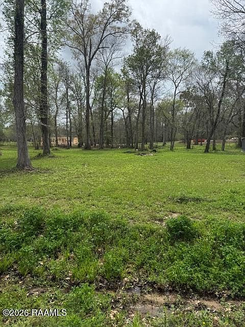 2nd image of Longwood Dr