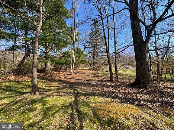 5th image of Sandy Run Rd