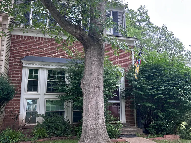13832 Grey Colt Dr — Photo 1