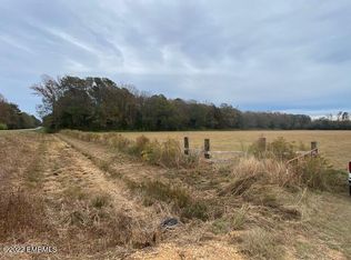 Marty Stuart Dr, Philadelphia, MS 39350