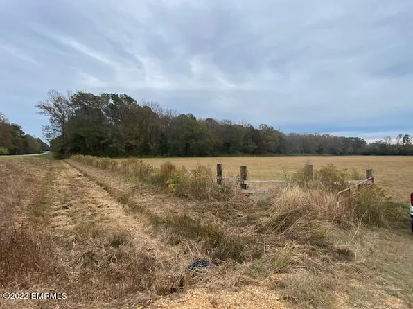 Marty Stuart Dr, Philadelphia, MS 39350