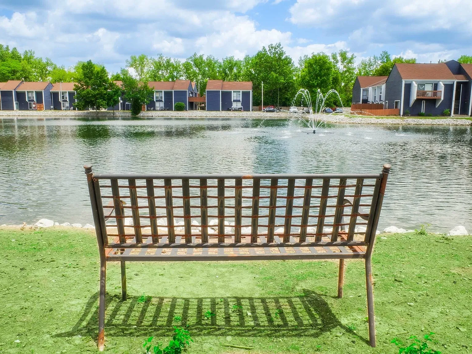 Lakeshore Cove — Photo 4