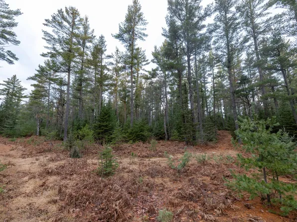 0 Betsy Tower Rd, Newberry, MI 49868