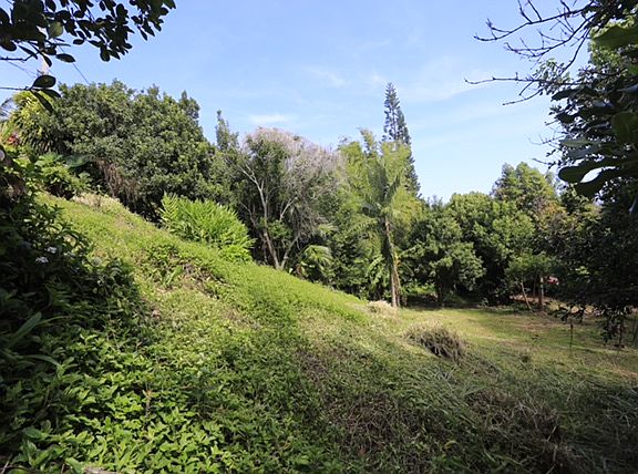 2nd image of Kawila St
