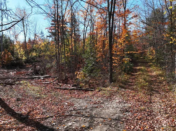 Lot 1 Old County  Road, Woodville, ME 04457