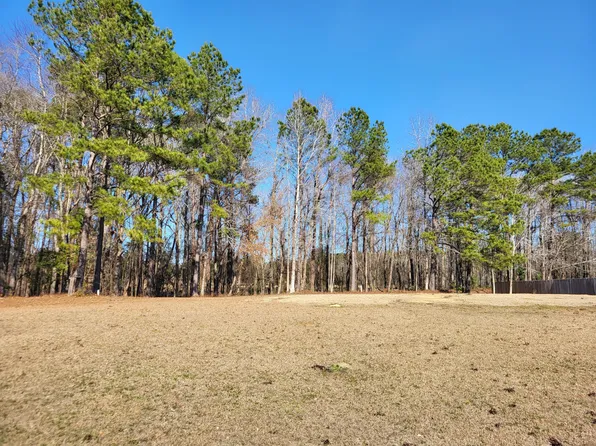 LOT 2 Santee Lumber Rd, Santee, SC 29142