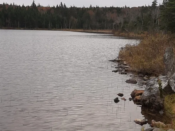 Tower Rd, Whycocomagh 2, NS B0E 3M0