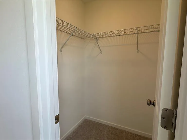 831 Lynx — Photo 12