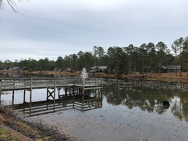 Neighborhood pond