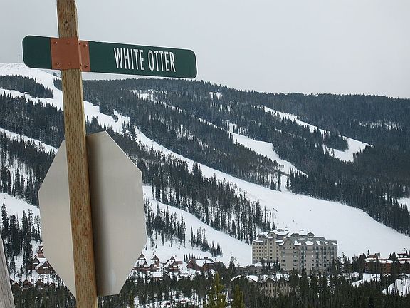 3rd image of 28 White Otter Rd