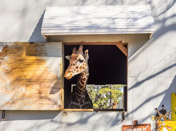 159 Mini Ln, Cameron, NC 28326