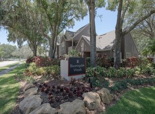 3451 Timber Run Dr, Valrico, FL 33596