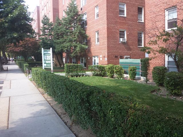 1st image of 3323 Nostrand Ave APT 2D