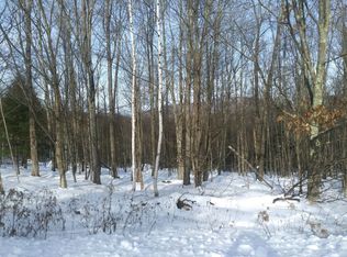 1019B Tree Tops Rd, Fleischmanns, NY 12430