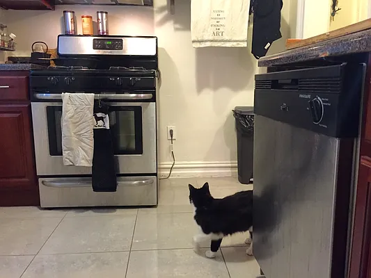 Rented by MNS | media 25