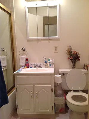 Rented by NY Living Solutions | media 5