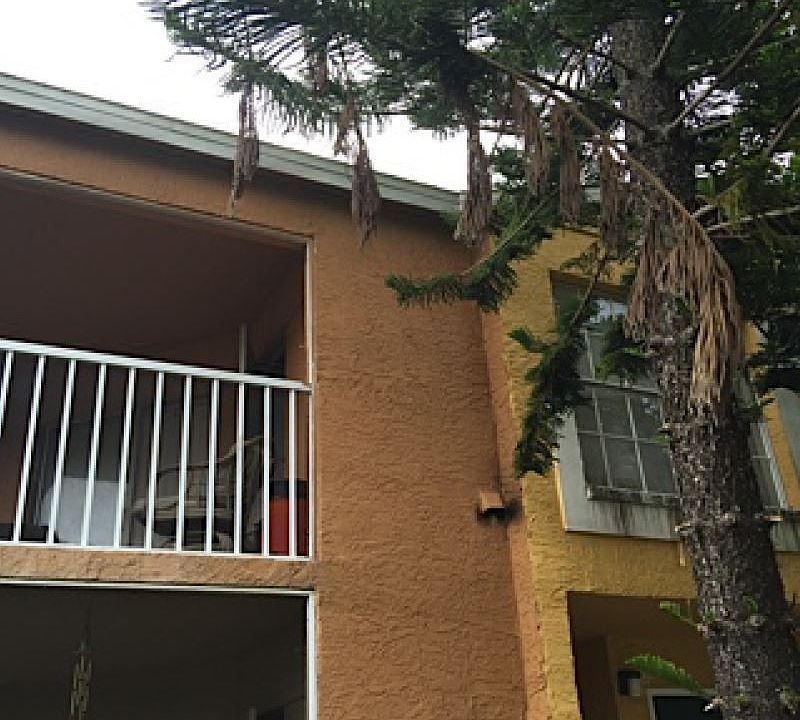 2nd image of 193 Santa Clara Dr APT 11