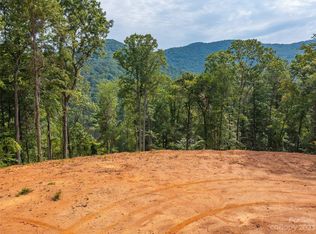 117 Eller Cove Rd, Weaverville, NC 28787