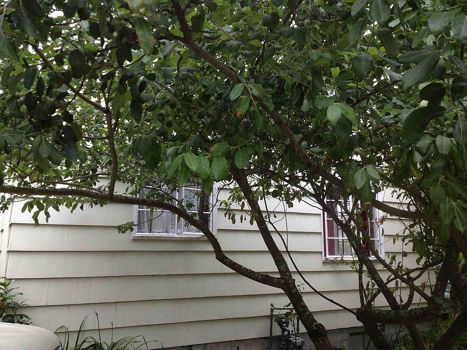2nd image of 6554 26th Ave NE
