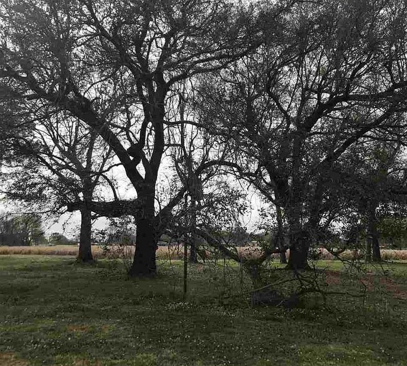 1st image of 35170 Highway 69