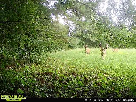 5th image of 2181 Graham Cypress Rd