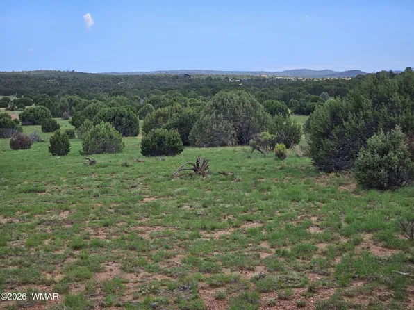 Birdwing Ln, Clay Springs, AZ 85923