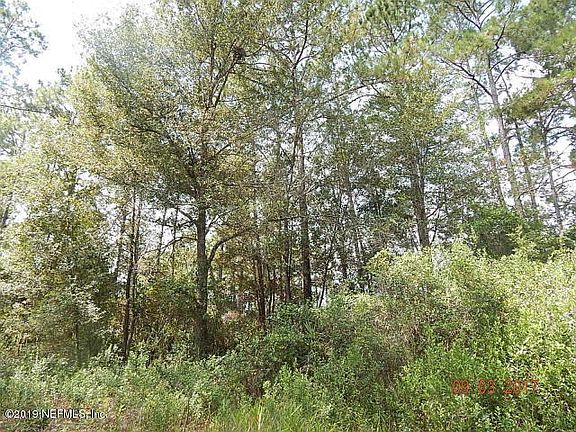 Lots of Light Timber