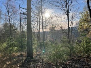 Gator Mountain Rd, Indian Valley, VA 24105