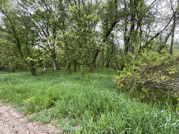 0 Carlisle Hwy, Charlotte, MI 48813