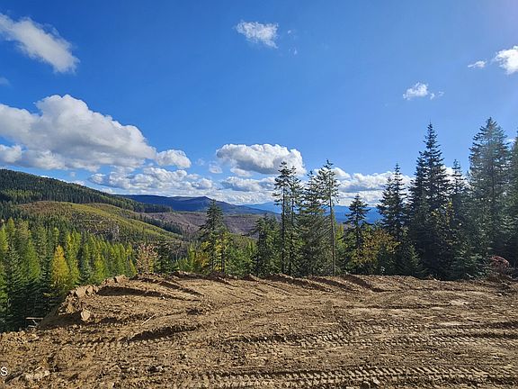 4th image of 320 Upriver View Dr