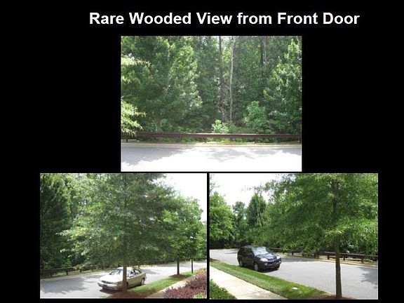 Rare Wooded View