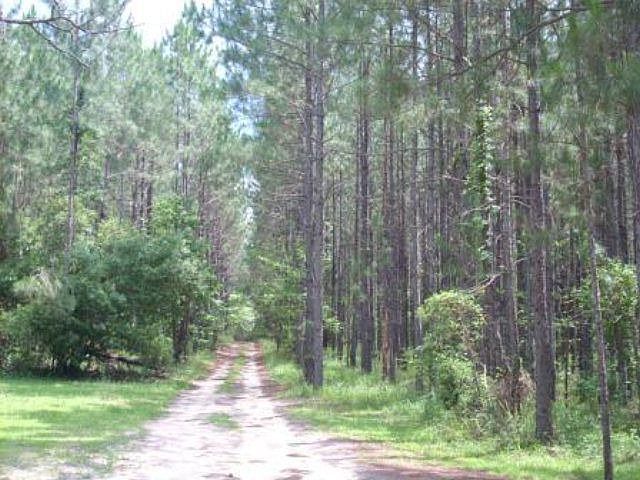2nd image of 147 Dye Rd
