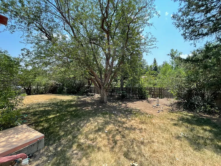 Spacious backyard.