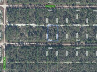 544 Parrot Ave, Sebring, FL 33872
