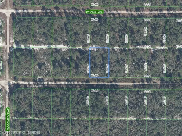 544 Parrot Ave, Sebring, FL 33872