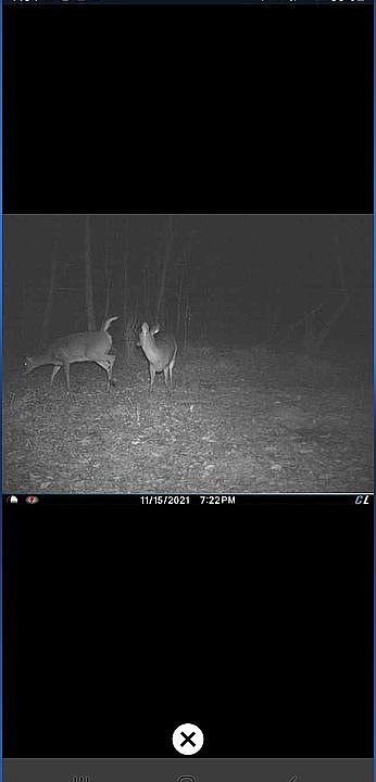 2nd image of Off Nc #37