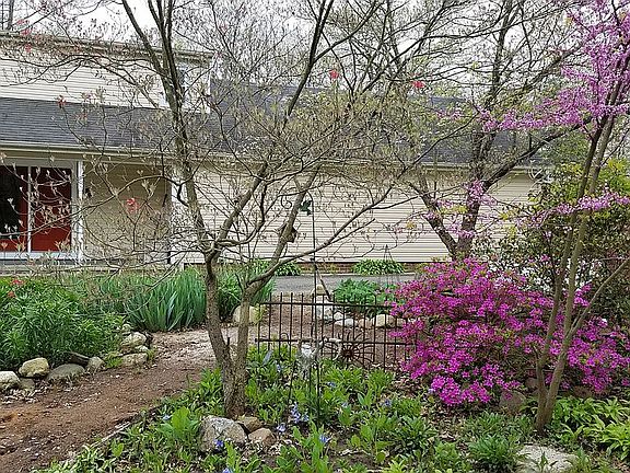 North side in spring