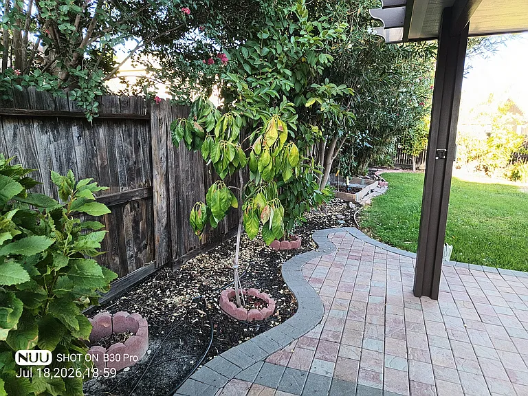 3 Tajo Ct — Photo 20