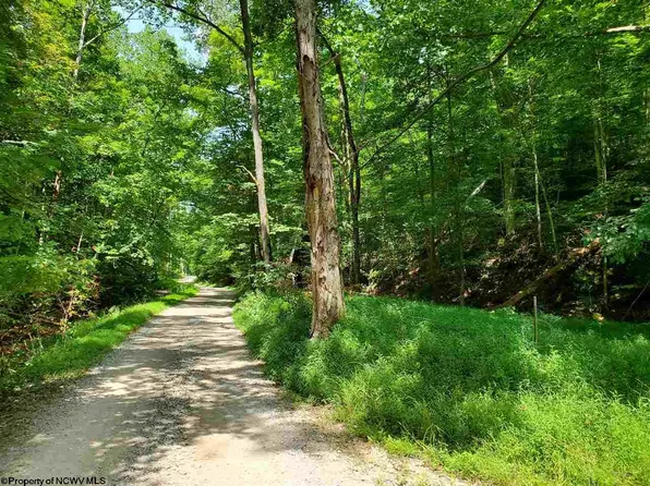 4370 Brushy Fork Rd, West Union, WV 26456