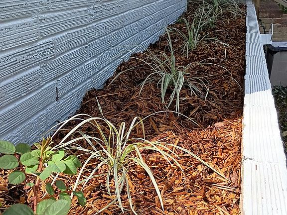 4th image of 105 Magnolia Cir