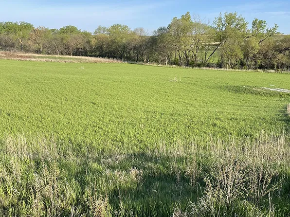 27800 Dobney Ave, Silver City, IA 51571