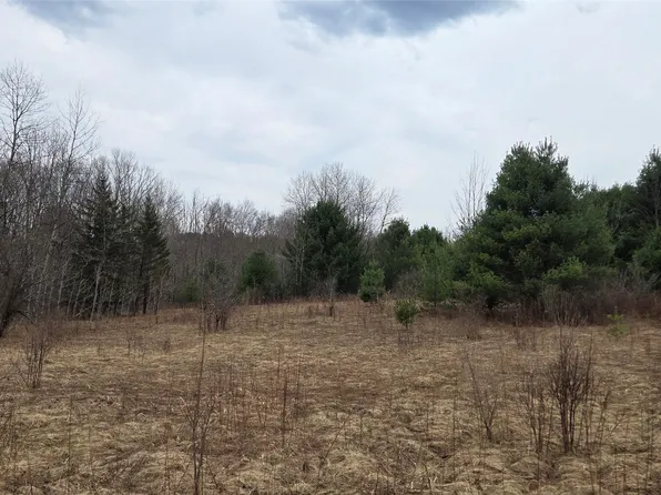 0 Route 41, Afton, NY 13730